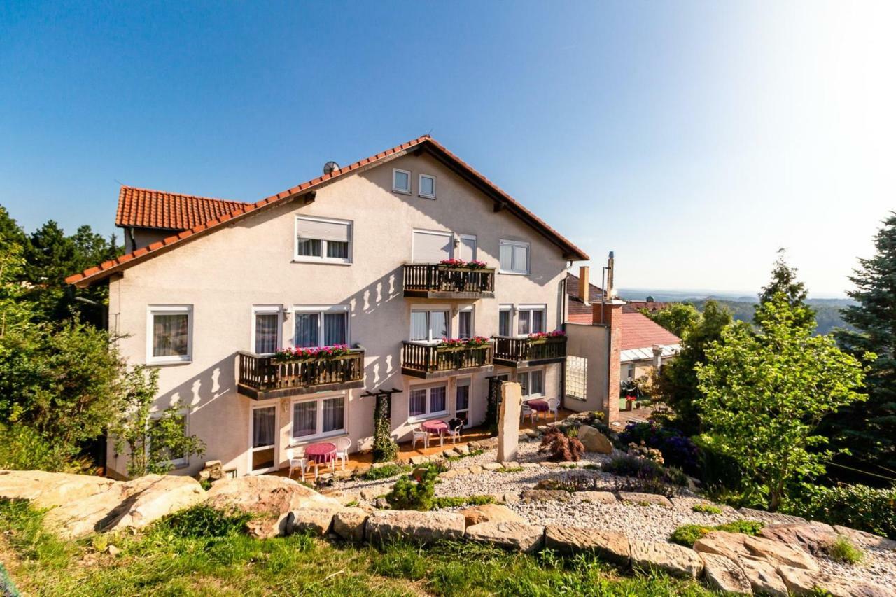 הונשטיין Hotel Zur Aussicht מראה חיצוני תמונה